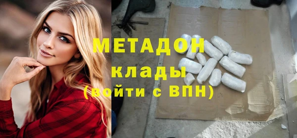 ГАЛЛЮЦИНОГЕННЫЕ ГРИБЫ Богданович