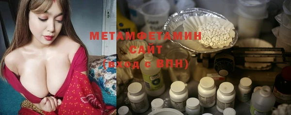 ГАЛЛЮЦИНОГЕННЫЕ ГРИБЫ Богданович
