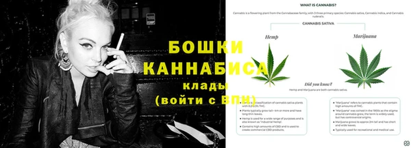 ГАЛЛЮЦИНОГЕННЫЕ ГРИБЫ Богданович