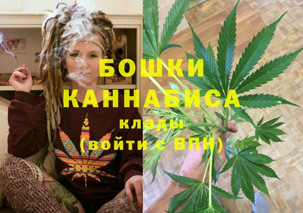 ГАЛЛЮЦИНОГЕННЫЕ ГРИБЫ Богданович