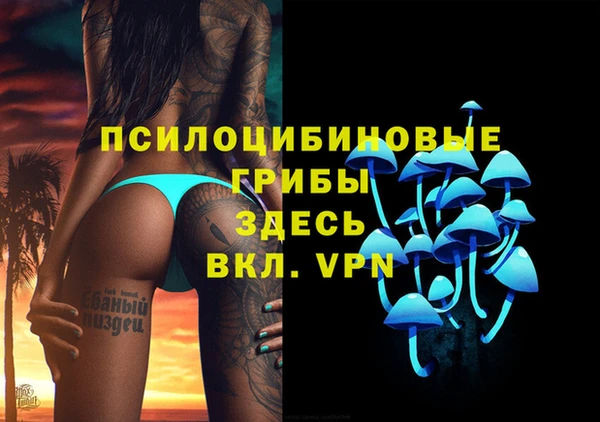 ГАЛЛЮЦИНОГЕННЫЕ ГРИБЫ Богданович
