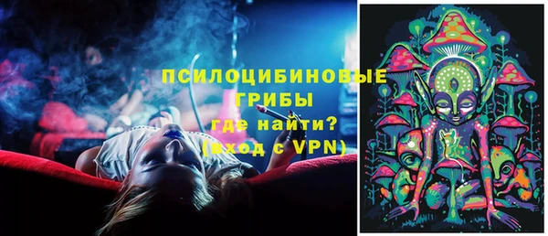 спайс Богородицк