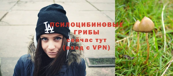 спайс Богородицк