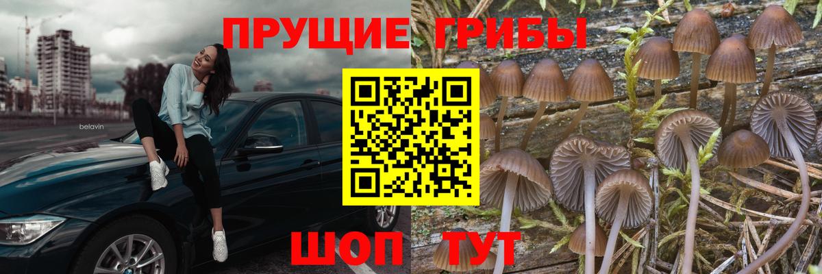 магазин  наркотиков  Вход с VPN  Верхняя Салда  Галлюциногенные грибы Cubensis 